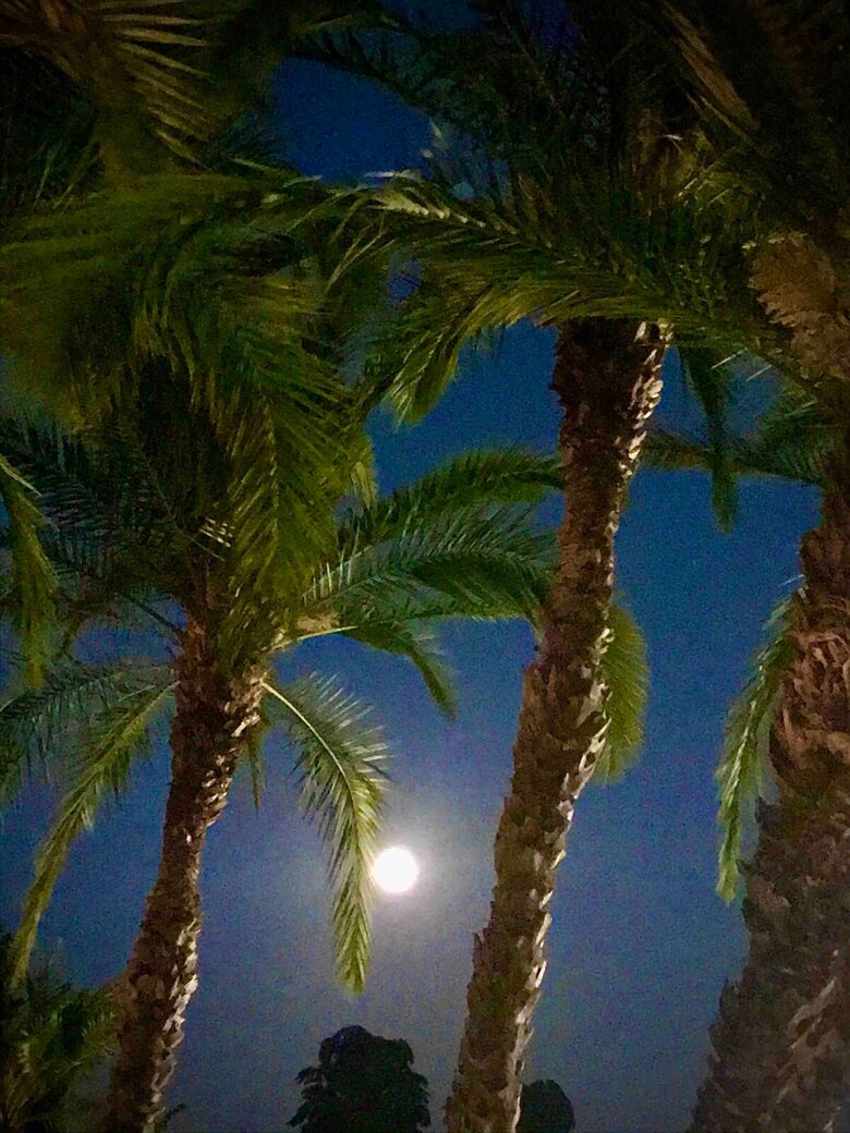 Waterfront St. Pete Retreat with Pool and Dock - St Petersburg, Florida