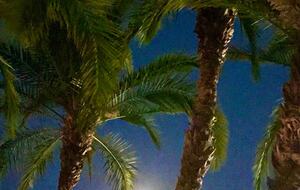 Waterfront St. Pete Retreat with Pool and Dock - St Petersburg, Florida