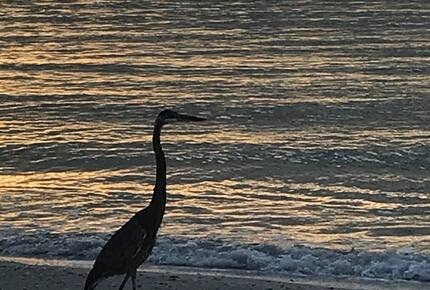 Waterfront St. Pete Retreat with Pool and Dock - St Petersburg, Florida