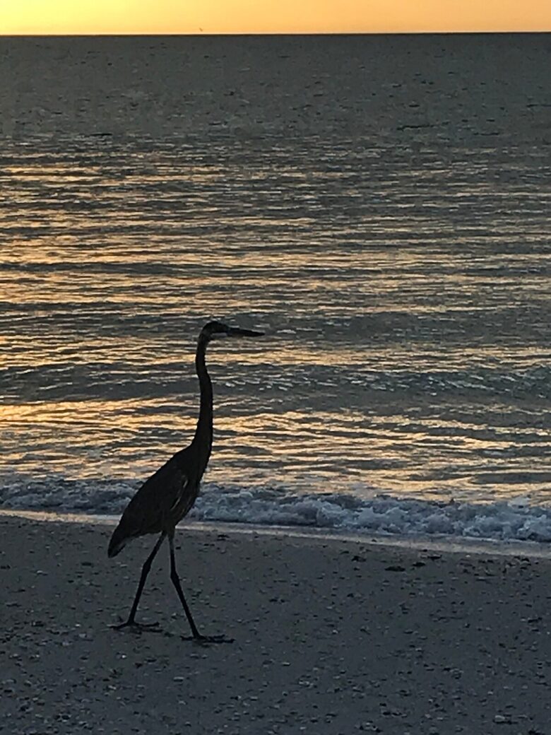 Waterfront St. Pete Retreat with Pool and Dock - St Petersburg, Florida