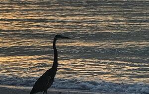 Waterfront St. Pete Retreat with Pool and Dock - St Petersburg, Florida