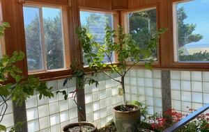 Front Entry/Solarium