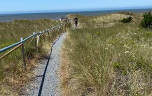 Private Path to the beach