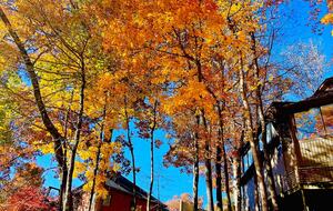 Grand Lakeview | Double Decker Dock, Fire Pit, Spa - Winchester, Tennessee