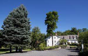 Hudson Valley Luxury Estate | 10 minutes from Rhinebeck - Staatsburg, New York