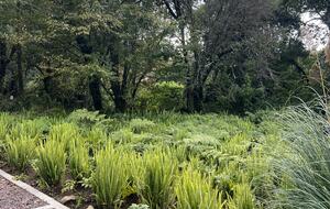 Rancho Las Joyas - Valle de Bravo, Mexico