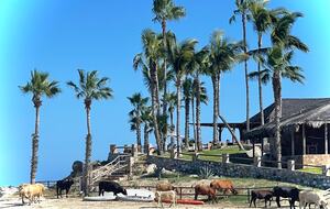 Beautiful Beachfront Hacienda - Baja California Sur, Mexico