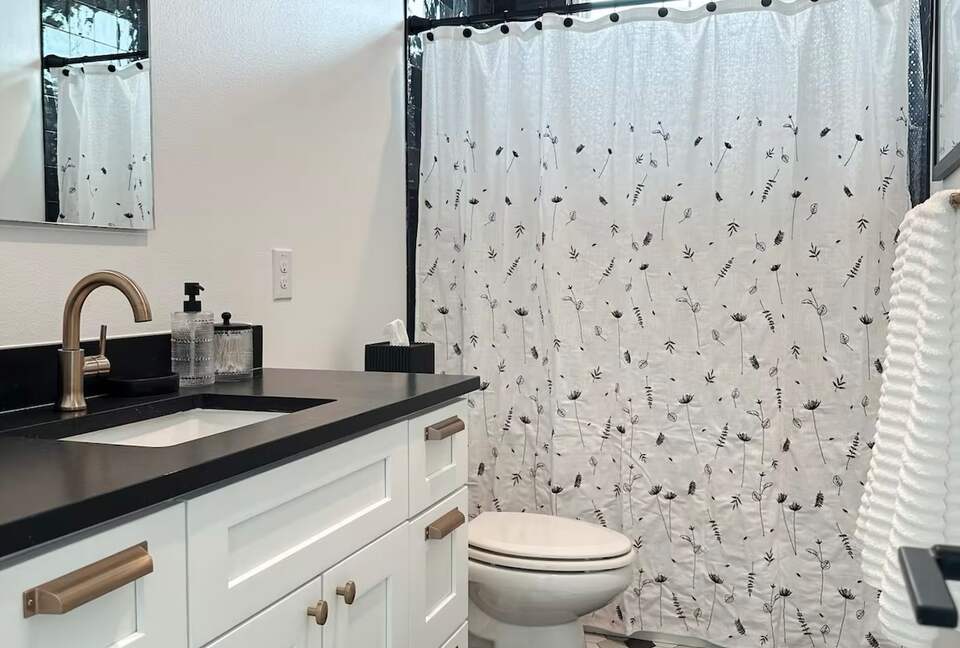 Stylish Hill Country Home in New Braunfels - New Braunfels, Texas