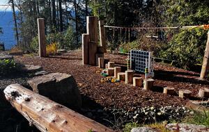 Private natural playground with ninja line on property