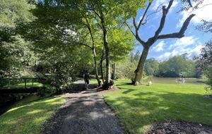 Two Moon | Elegant Mountain Home with Great Community Amenities - Cashiers, North Carolina