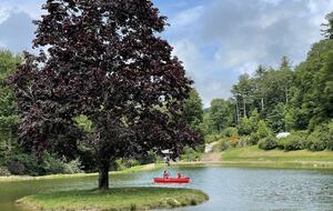 Two Moon | Elegant Mountain Home with Great Community Amenities - Cashiers, North Carolina
