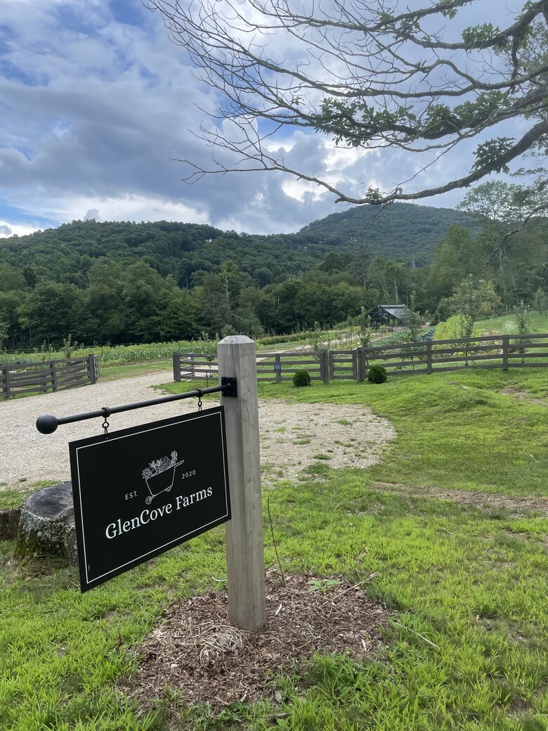 Two Moon | Elegant Mountain Home with Great Community Amenities - Cashiers, North Carolina