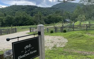 Two Moon | Elegant Mountain Home with Great Community Amenities - Cashiers, North Carolina