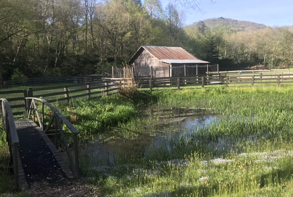 Two Moon | Elegant Mountain Home with Great Community Amenities - Cashiers, North Carolina