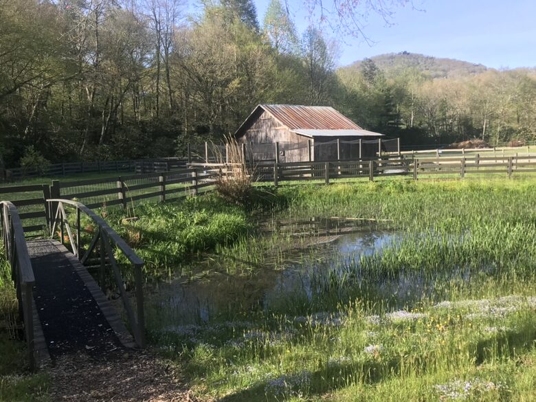 Two Moon | Elegant Mountain Home with Great Community Amenities - Cashiers, North Carolina