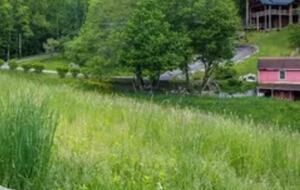 Fiddlehead Banner Elk Two Homes on 22 Acres - Banner Elk, North Carolina