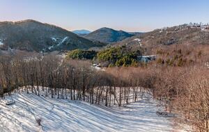 Fiddlehead Banner Elk Two Homes on 22 Acres - Banner Elk, North Carolina