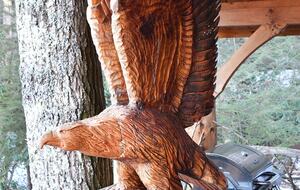 Fiddlehead Banner Elk Two Homes on 22 Acres - Banner Elk, North Carolina