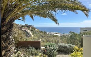 View from front guest bedroom