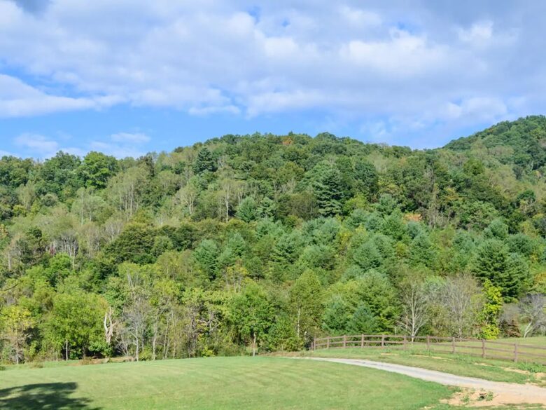 Idyllic Mountain by AvantStay | Outdoor Living - Asheville, North Carolina