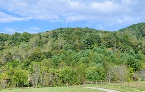Idyllic Mountain by AvantStay | Outdoor Living - Asheville, North Carolina