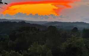 Sprawling 10-Acre Retreat in Scenic Ardmore - Ardmore, Tennessee