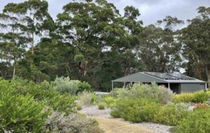 Coralwood Cottage in Native Garden Landscape - North Bornholm, Australia