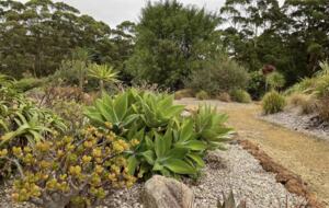 Coralwood Cottage in Native Garden Landscape - North Bornholm, Australia