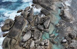 Coralwood Cottage in Native Garden Landscape - North Bornholm, Australia