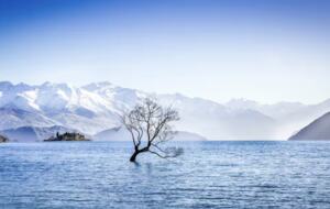 That Wanaka Tree House | BEST Lake Front Location - Wānaka, New Zealand