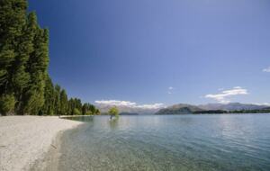 That Wanaka Tree House | BEST Lake Front Location - Wānaka, New Zealand