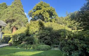 That Wanaka Tree House | BEST Lake Front Location - Wānaka, New Zealand