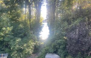 That Wanaka Tree House | BEST Lake Front Location - Wānaka, New Zealand