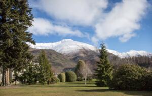 That Wanaka Tree House | BEST Lake Front Location - Wānaka, New Zealand
