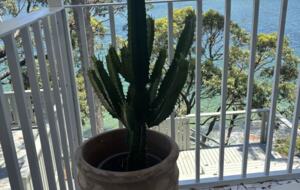 Breathtaking Views and Private Beach Access - Bundeena, Australia