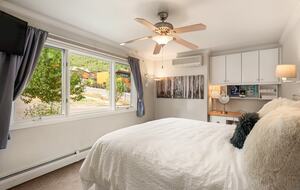 Mountain Elegance with Great Downtown Access - Aspen, Colorado