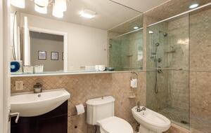 Mountain Elegance with Great Downtown Access - Aspen, Colorado