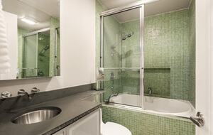 Mountain Elegance with Great Downtown Access - Aspen, Colorado