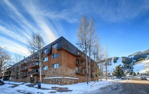 Mountain Elegance with Great Downtown Access - Aspen, Colorado