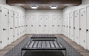 Mountain Elegance with Great Downtown Access - Aspen, Colorado