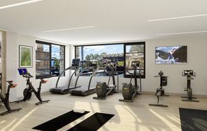 Cirque Viceroy at Snowmass - Snowmass Village, Colorado