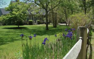 Timeless Secluded Luxury Steps from Historic Edgartown - Edgartown, Massachusetts