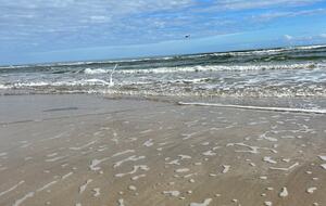 Luxurious Marina-View Condo with Beach & Resort Amenities - Ponce Inlet, Florida