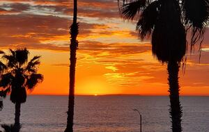 Cozy Oceanfront Getaway | Steps to the Beach - Oceanside, California