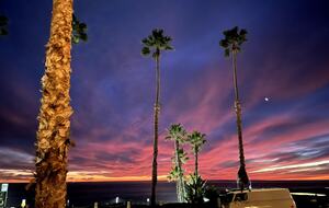 Cozy Oceanfront Getaway | Steps to the Beach - Oceanside, California