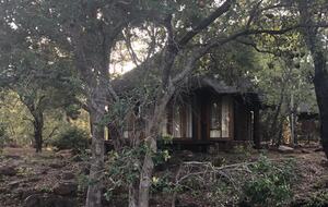 Big Five Game Lodge Tsheshepe - Vaalwater, South Africa