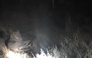 Big Five Game Lodge Tsheshepe - Vaalwater, South Africa