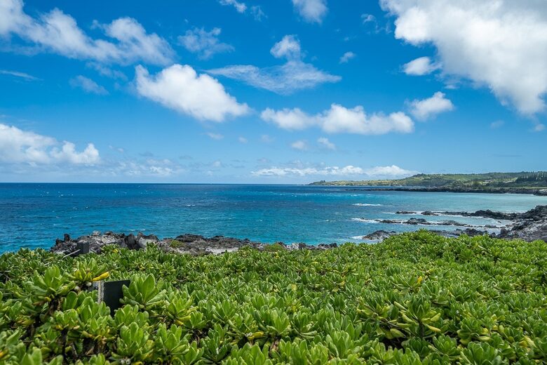 Peaceful Maui Retreat Steps from Kapalua Bay - Lahaina, Hawaii