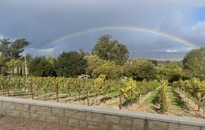 Petaluma One of a Kind Vineyard Residence - Petaluma, California