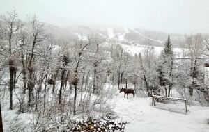 Edelweiss Chalet | Ski to Lift - Steamboat Springs, Colorado